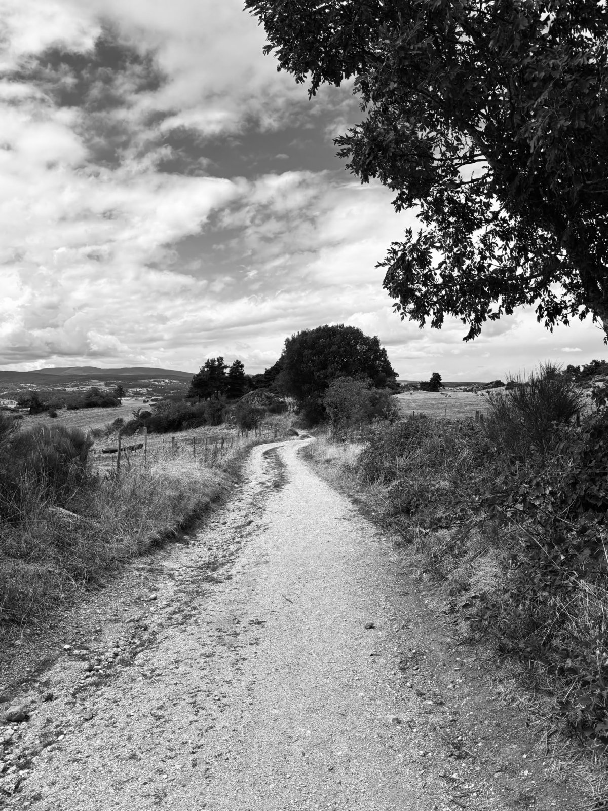 Une histoire sur Compostelle